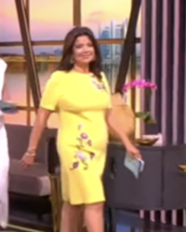 The View 2025 Ana Navarro Yellow Floral Embroidered Dress