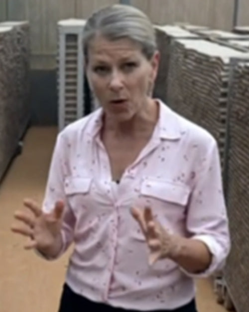 The Today Show 2025 Janis Mackey Frayer Pink Printed Shirt