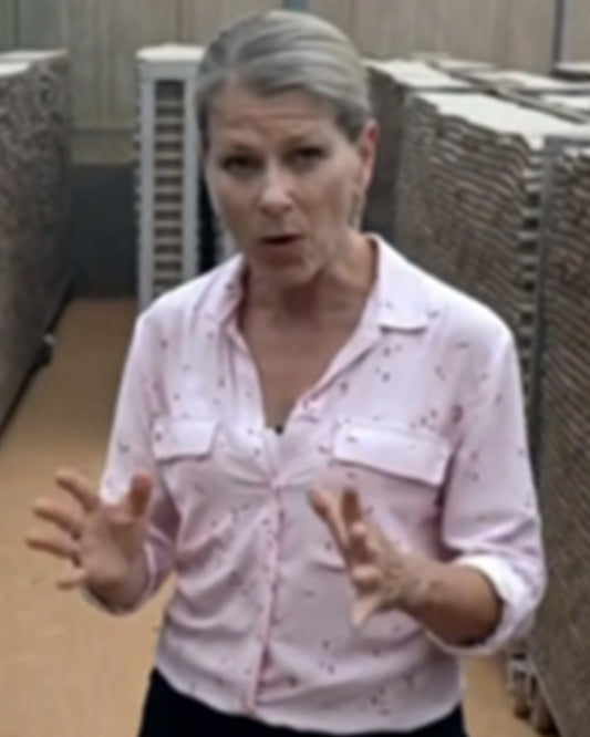 The Today Show 2025 Janis Mackey Frayer Pink Printed Shirt
