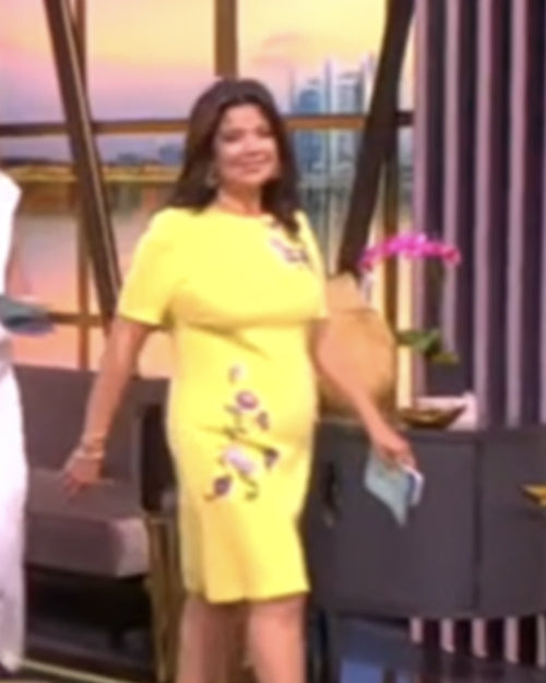 The View 2025 Ana Navarro Yellow Floral Embroidered Dress